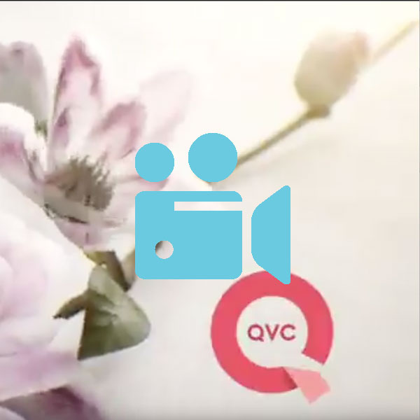 Product Video From QVC Toilet Bowl Cleaner